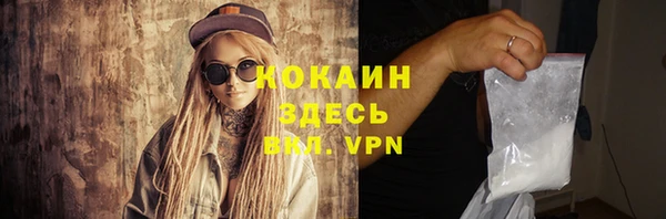 индика Алзамай