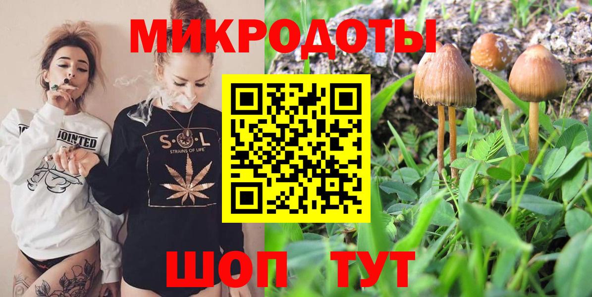 Галлюциногенные грибы Cubensis Курчатов