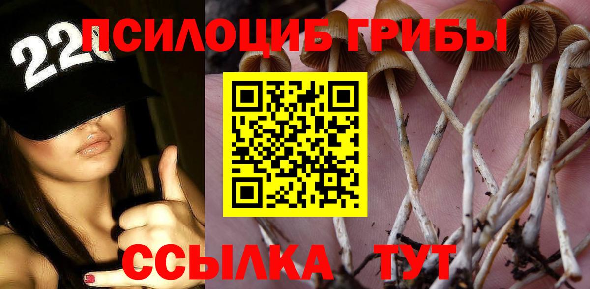 купить   Псилоцибиновые грибы прущие грибы  Курчатов  Вход с VPN  Галлюциногенные грибы Psilocybe 